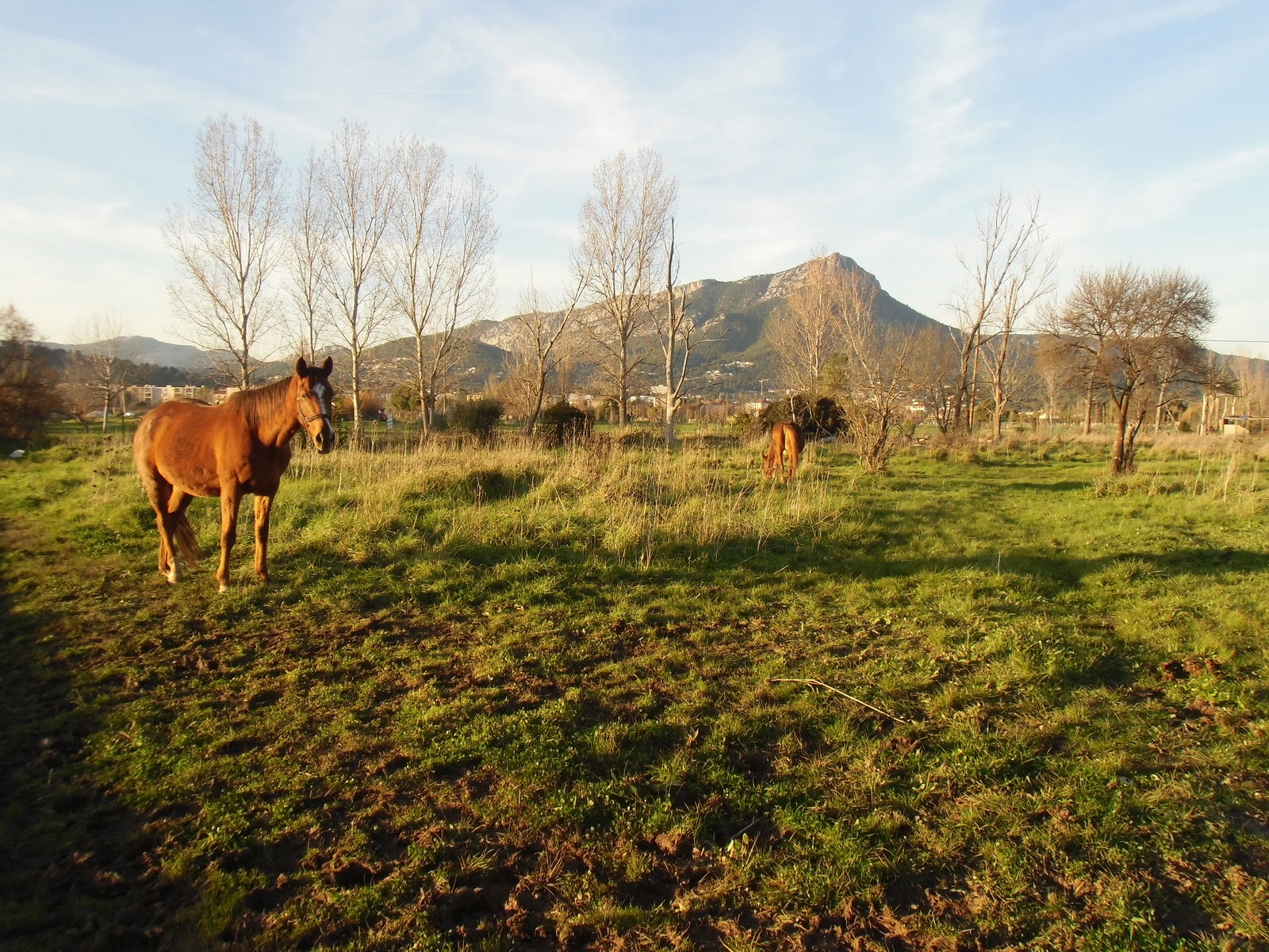 Gastfamilie La Garde 297933