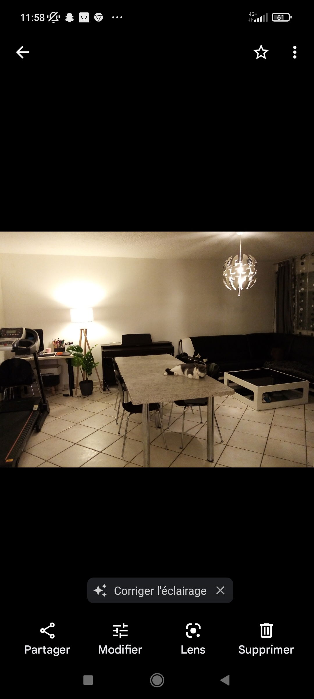 Gastfamilie Villeurbanne 260874