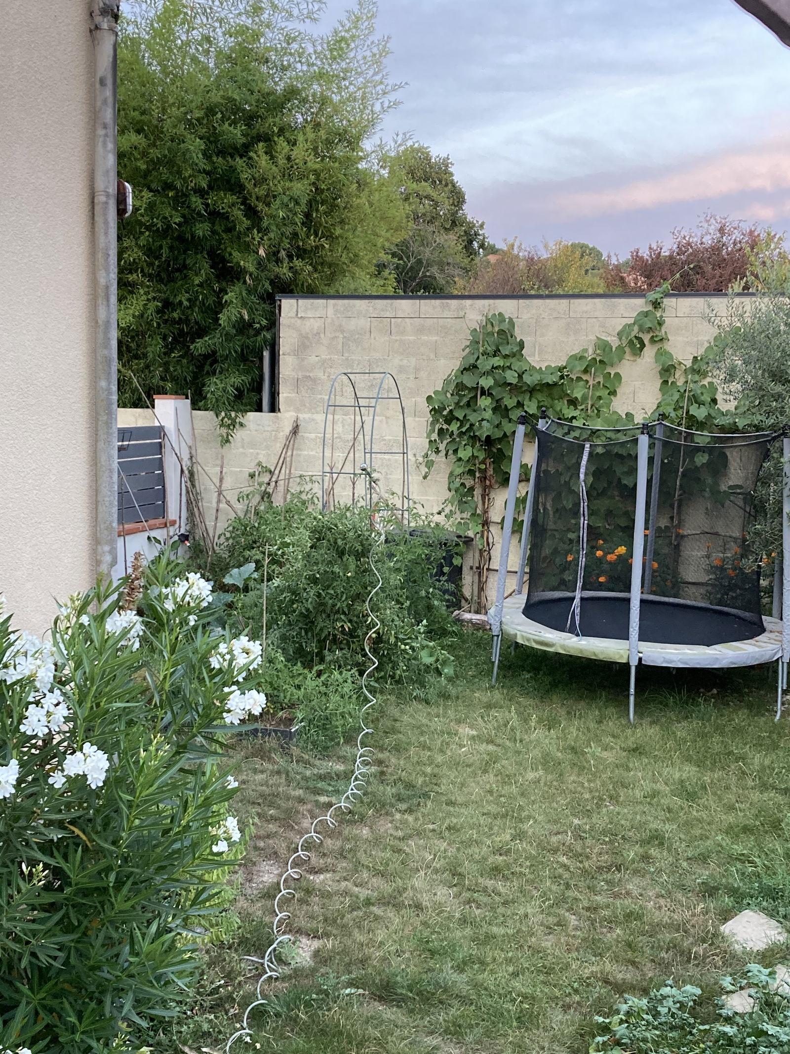 Gastfamilie Venerque 318535