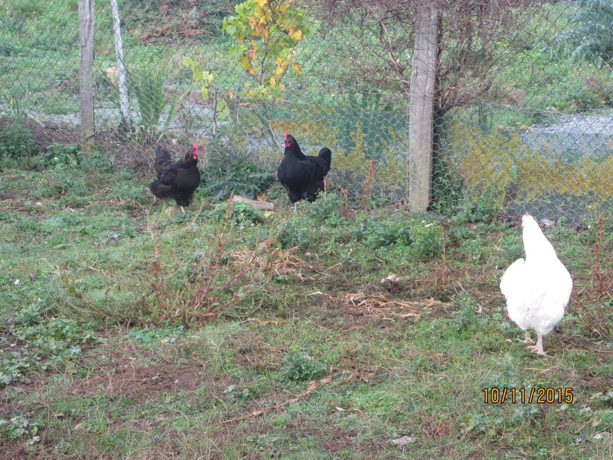 Gastfamilie Mouhers 111512