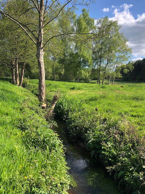 Gastfamilie Cérans-Foulletourte 267863