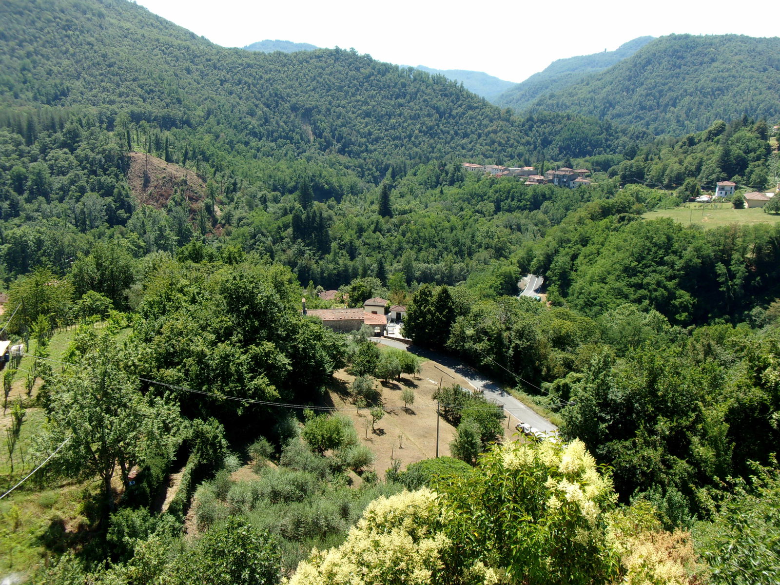 Gastfamilie Cocciglia 132460