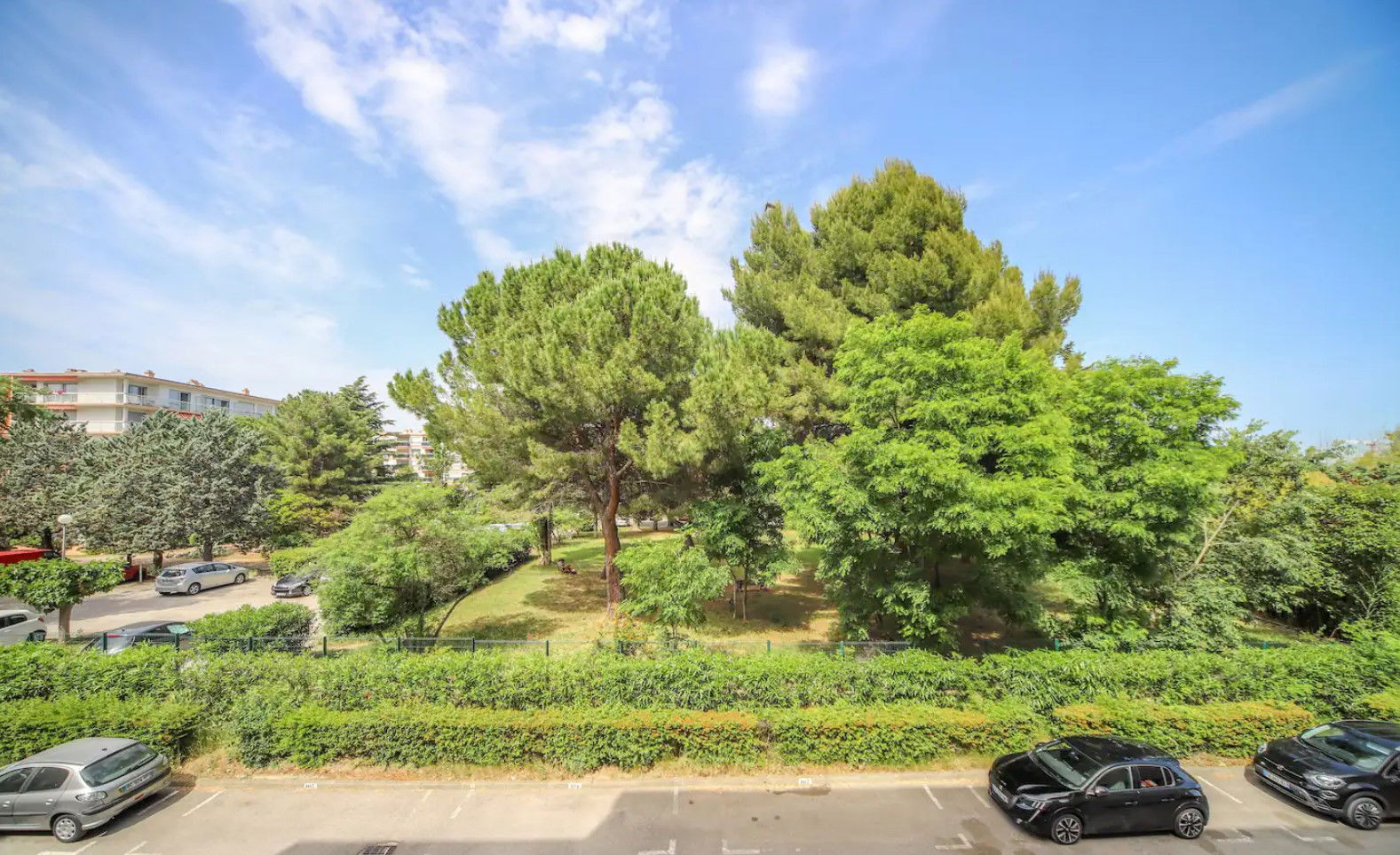 Gastfamilie Montpellier 266141