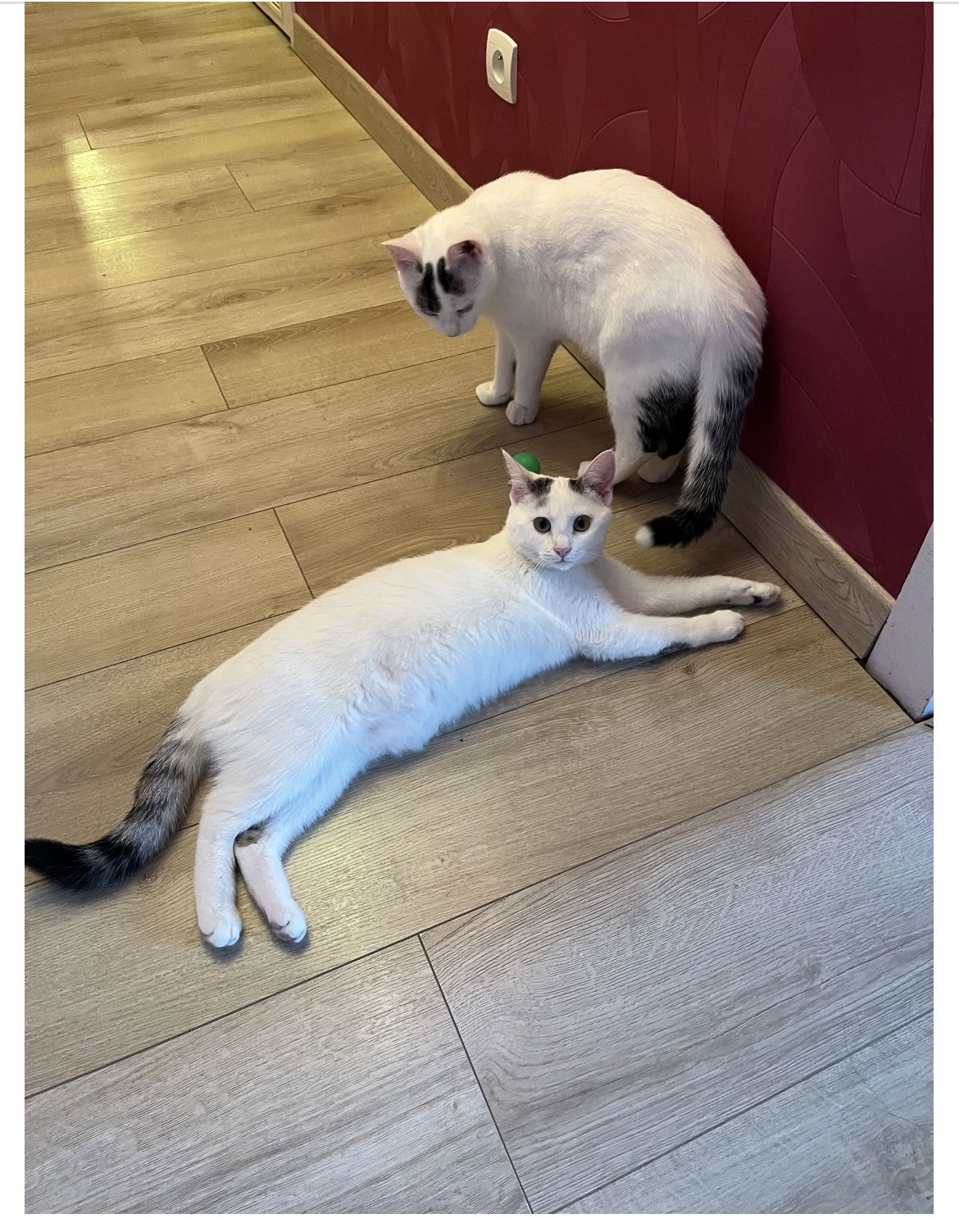 Gastfamilie Bourges 307586