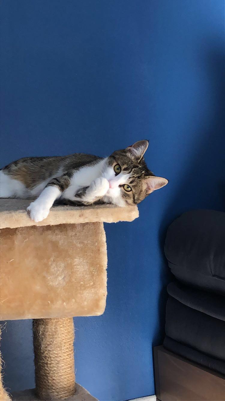 Gastfamilie Poitiers 167861