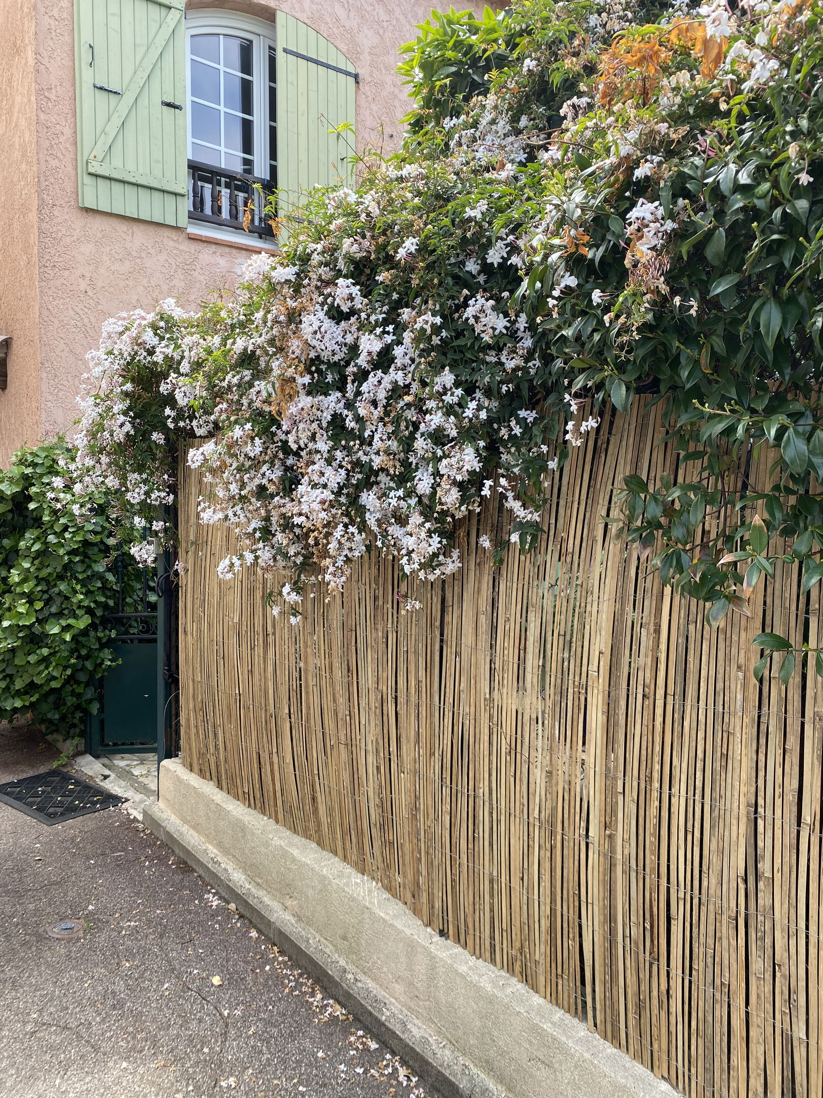 Gastfamilie Villeneuve-Loubet 368014