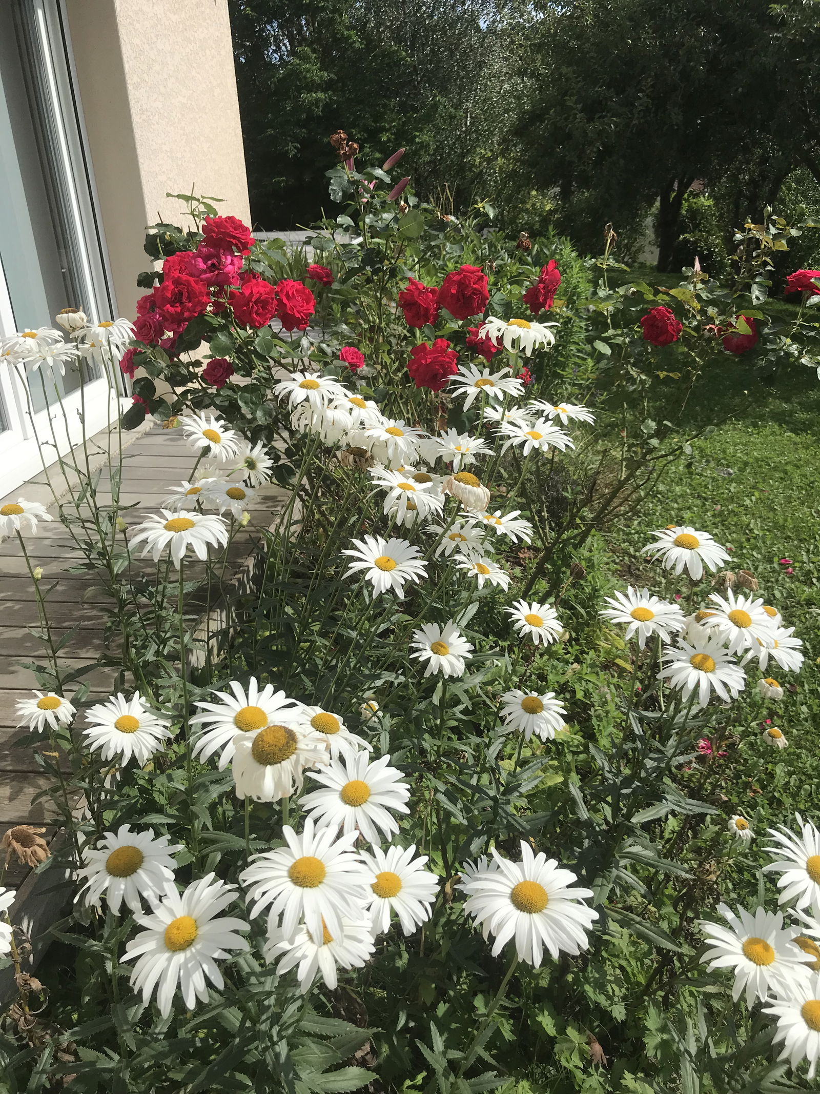 Gastgezin Couthenans 420725