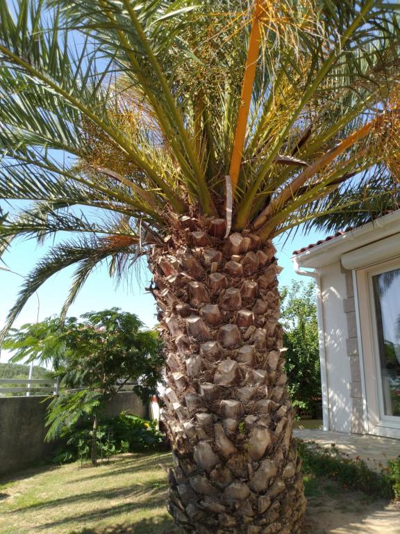 Gastgezin L'Houmeau 401381