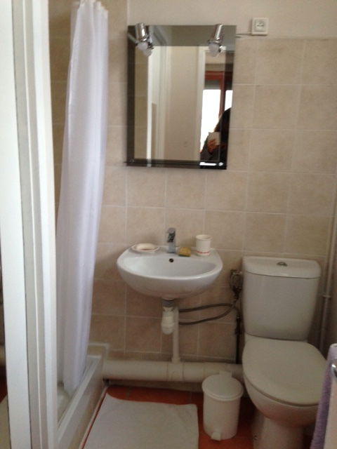 Gastgezin Villeurbanne 228741