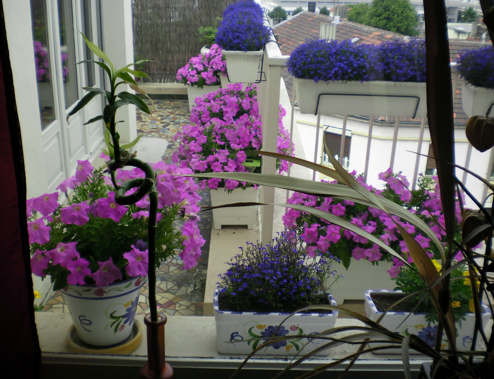 Gastgezin Villeurbanne 228741