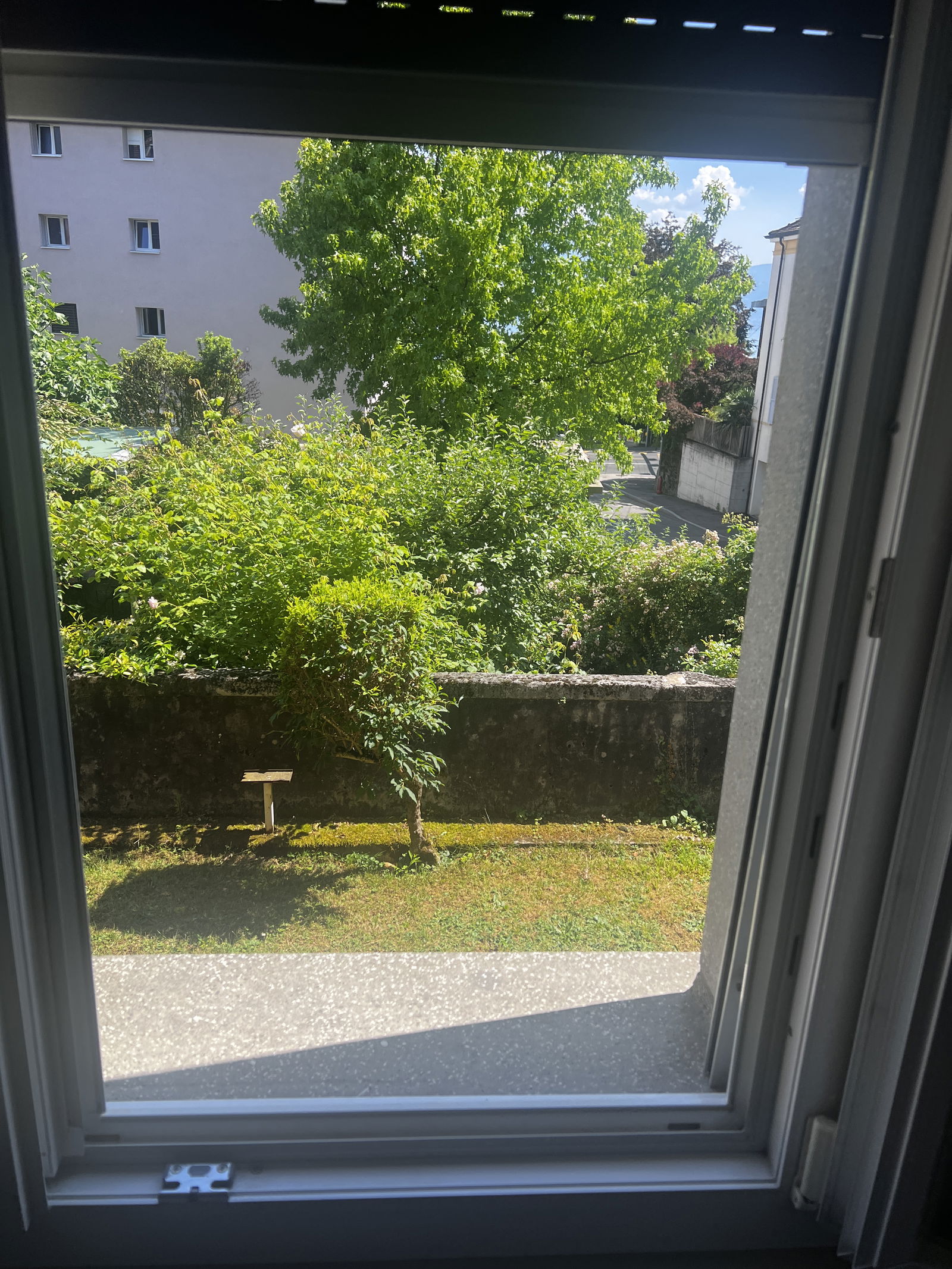 Colocatie Pully 549053