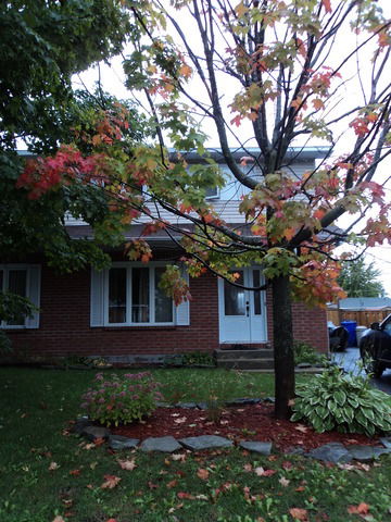 Colocatie Gatineau 32641