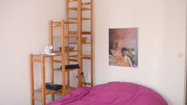 Colocatie Villeurbanne 36114