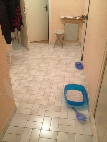 Colocatie Blois 61597