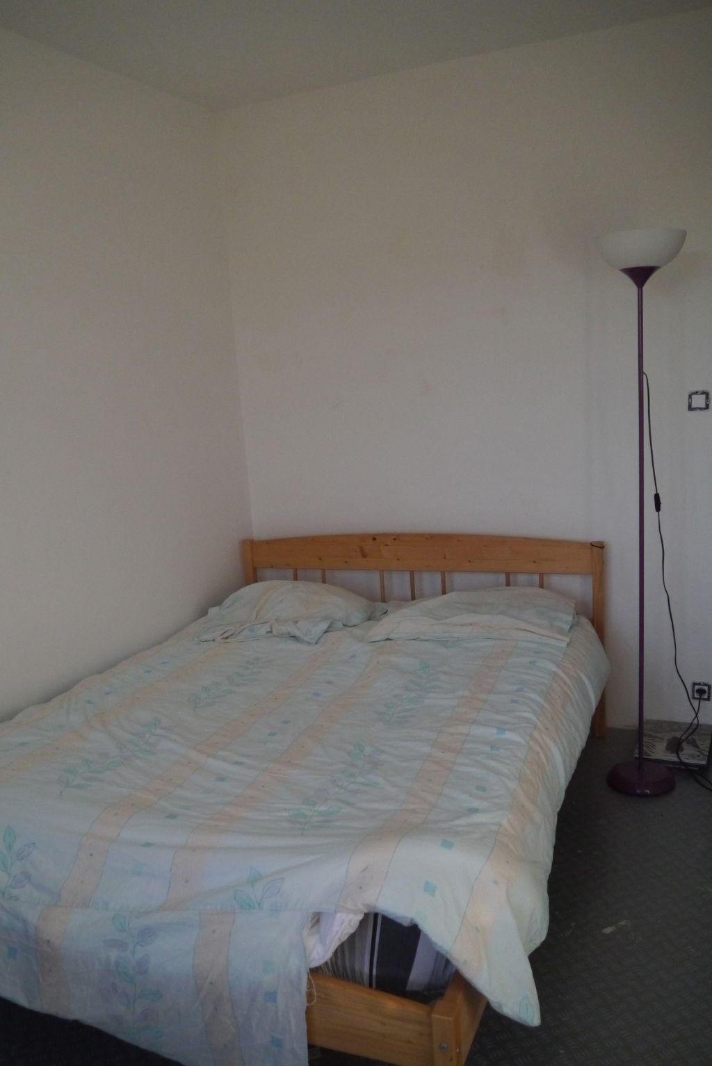 Colocatie Saint-Mars-de-Coutais 100513