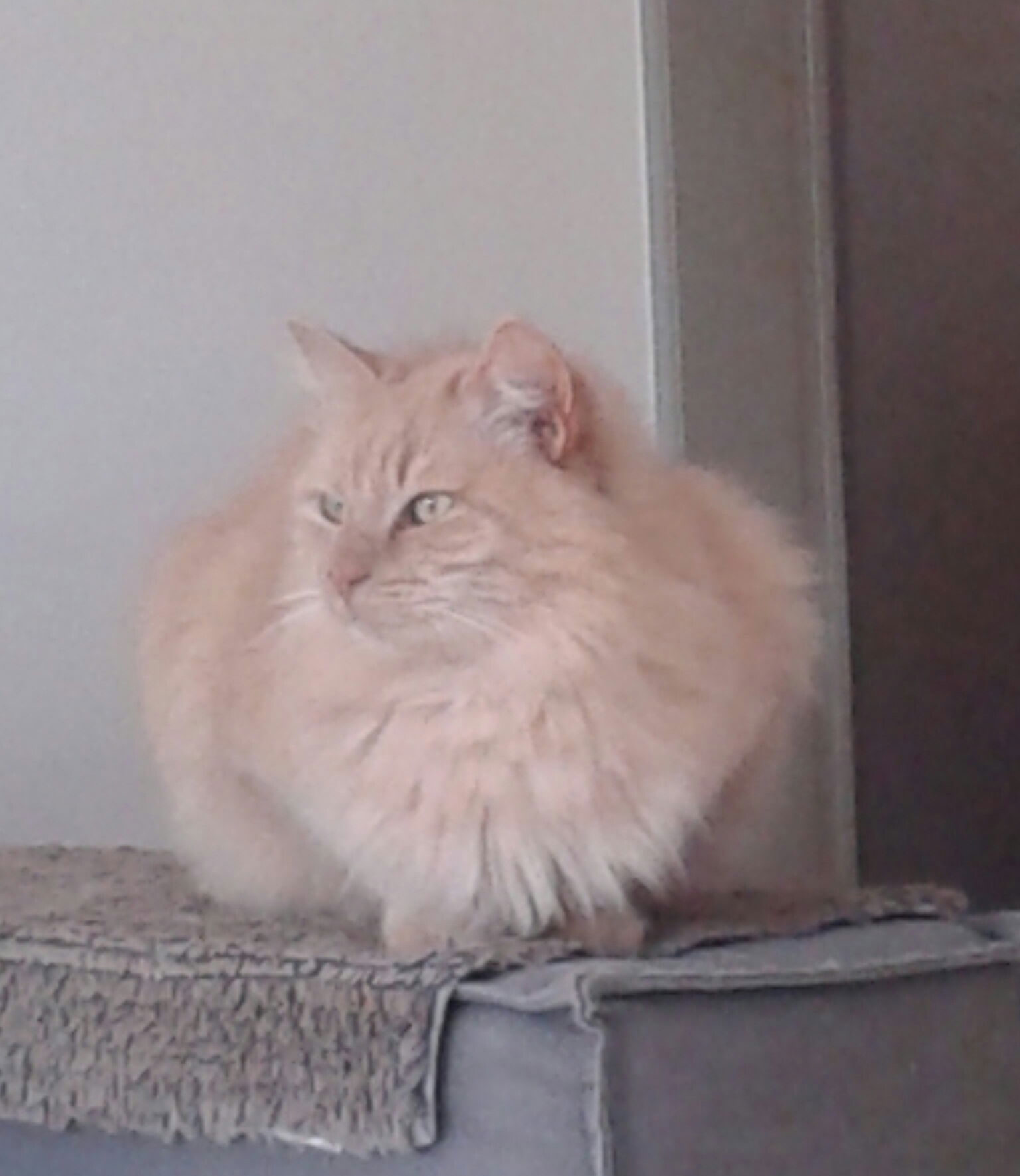 Colocatie Pont-à-Celles 151629