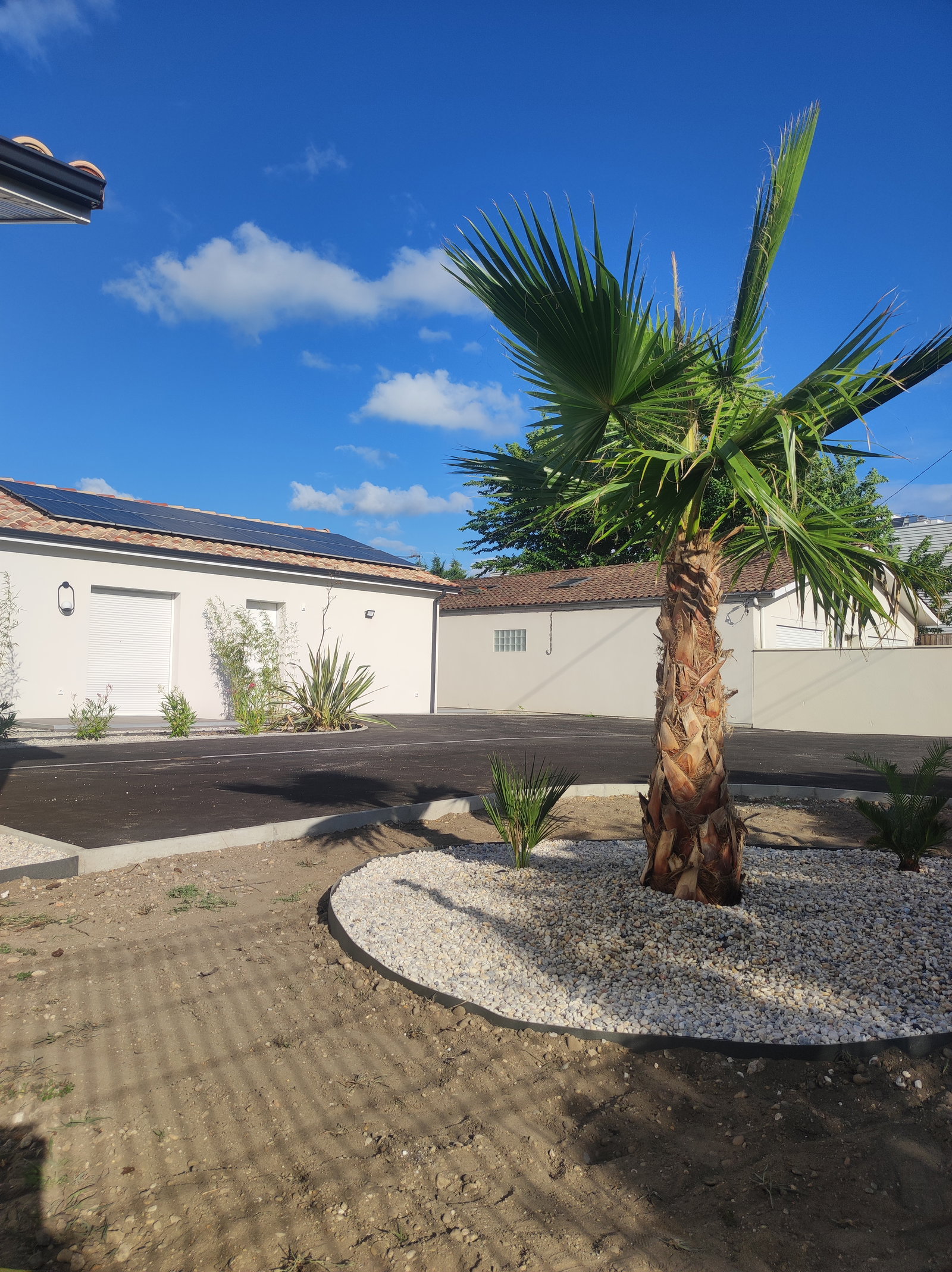 Colocatie Bègles 659035