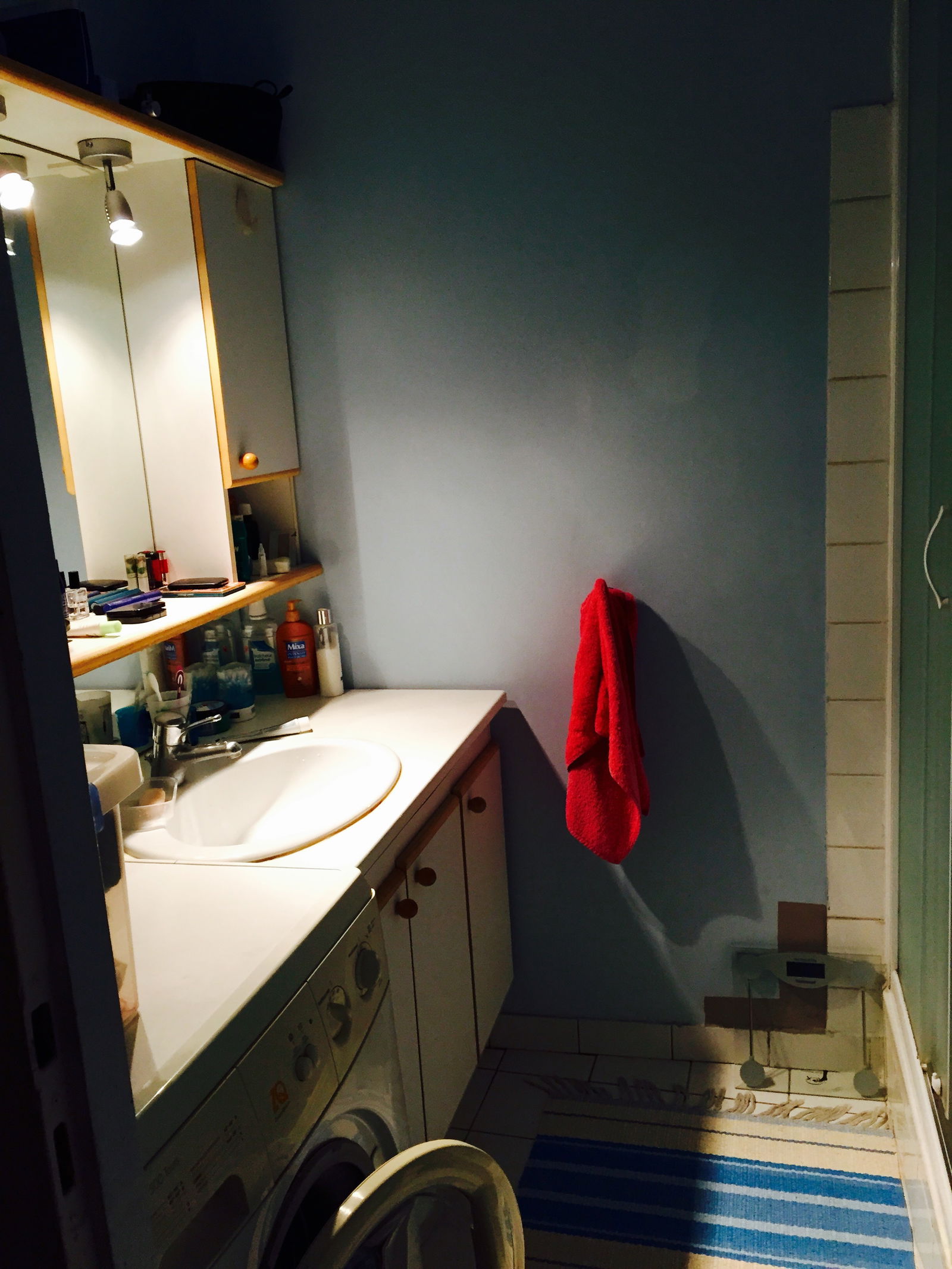 Colocatie Lyon 91704