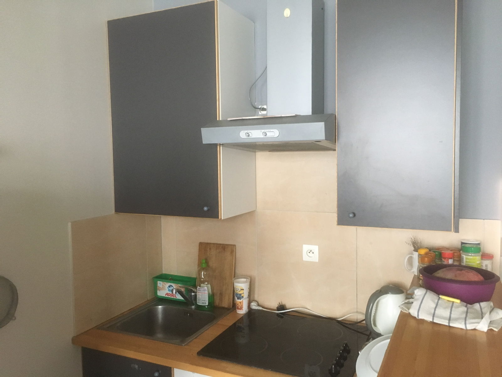 Colocatie Villeurbanne 188628