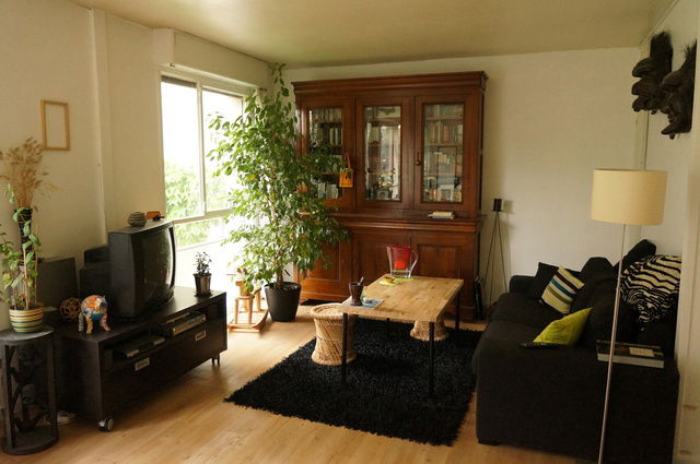 Colocatie Villejuif 49071