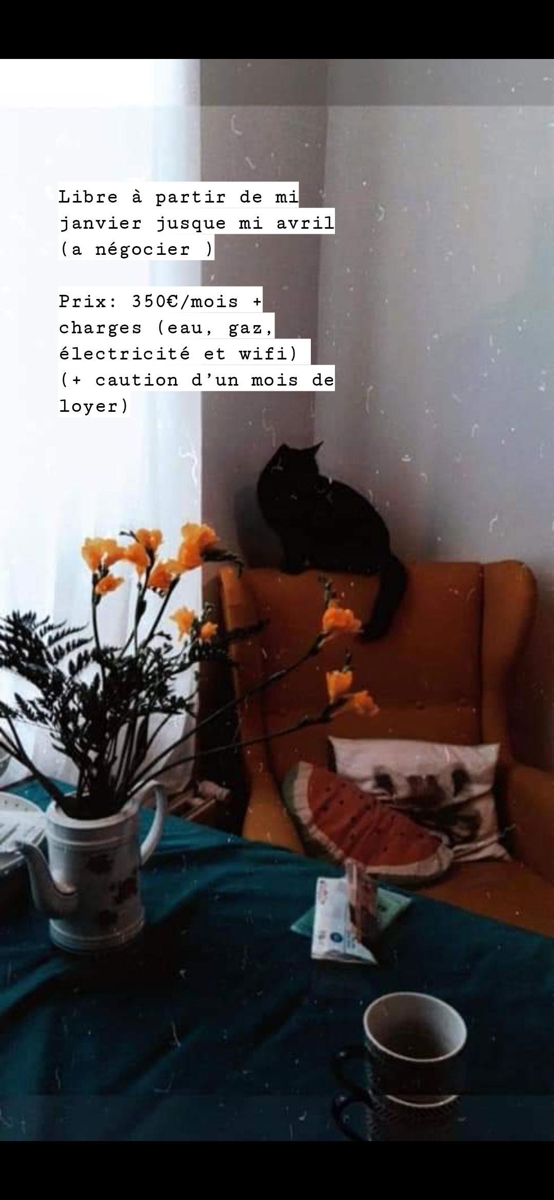 Colocatie Luik 234514