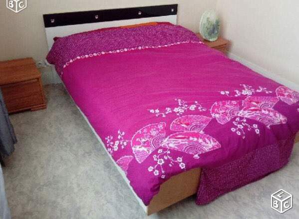 Colocatie Toulouse 163984