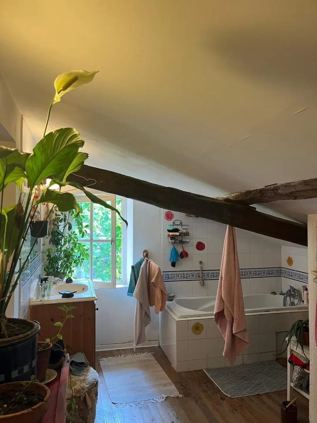 Colocatie Coufouleux 643827