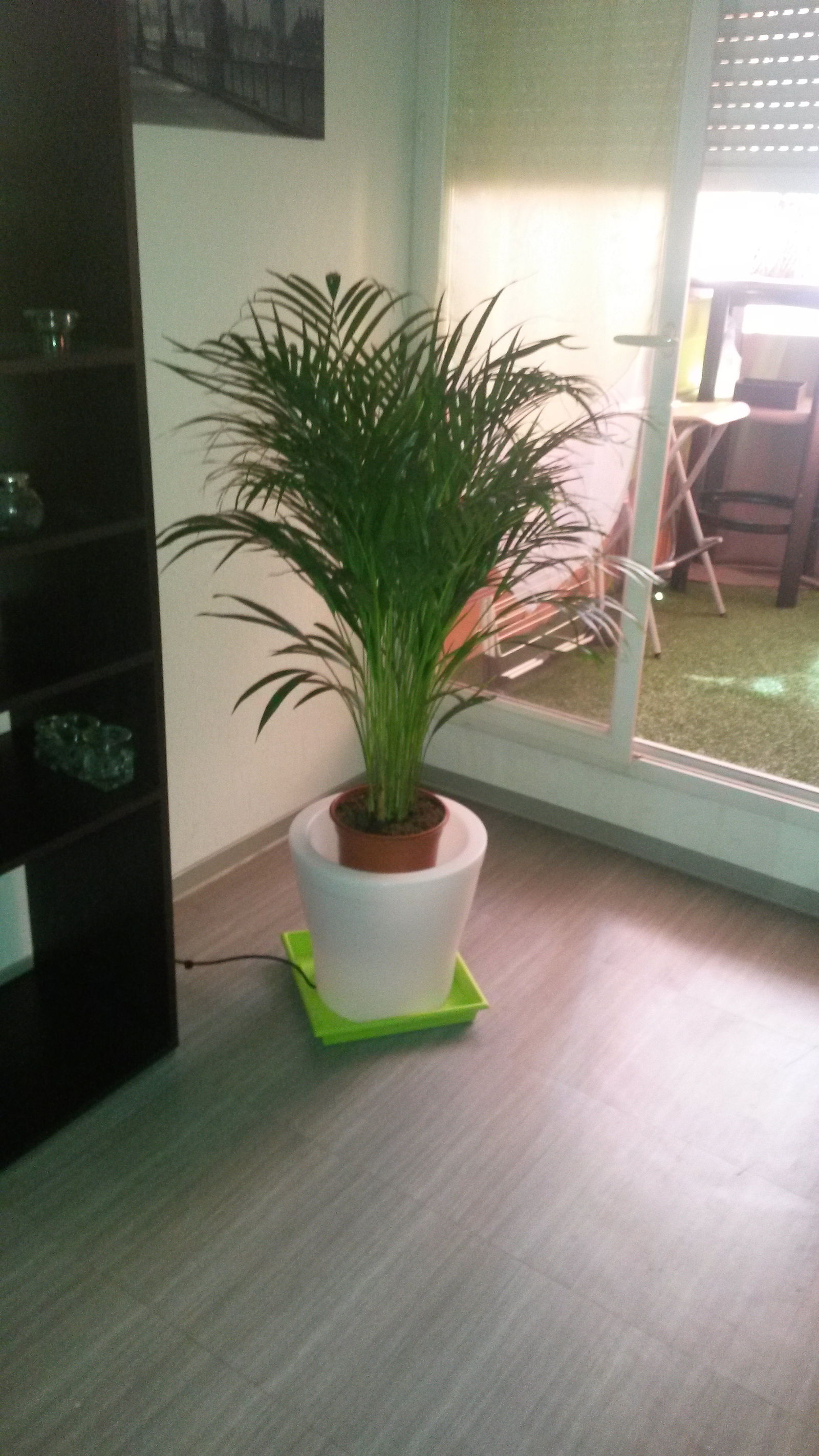 Colocatie Montpellier 57027