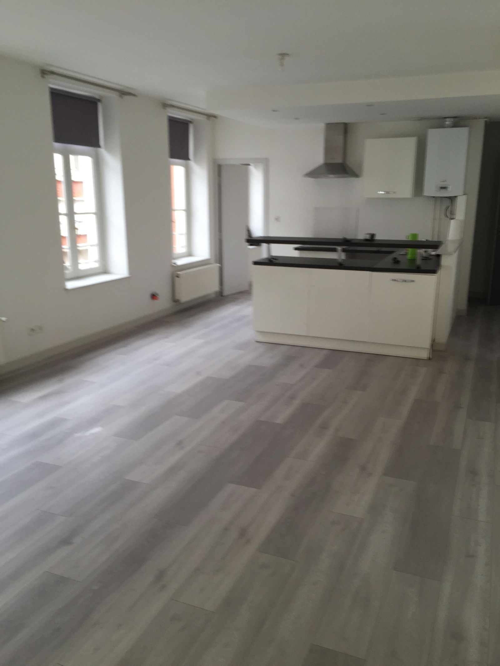 Colocatie Lille 141993