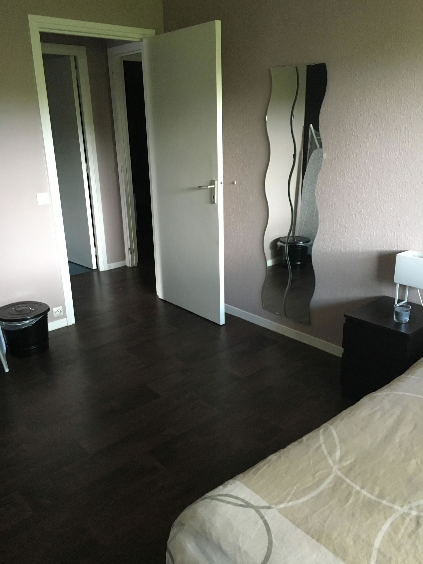 Colocatie Lyon 132053