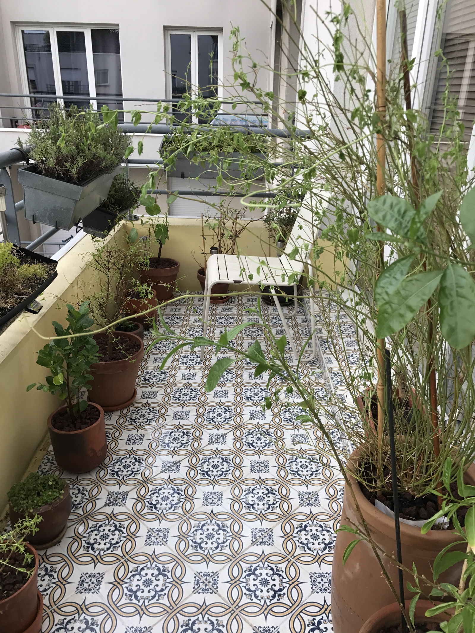 Colocatie Saint-Denis 162806