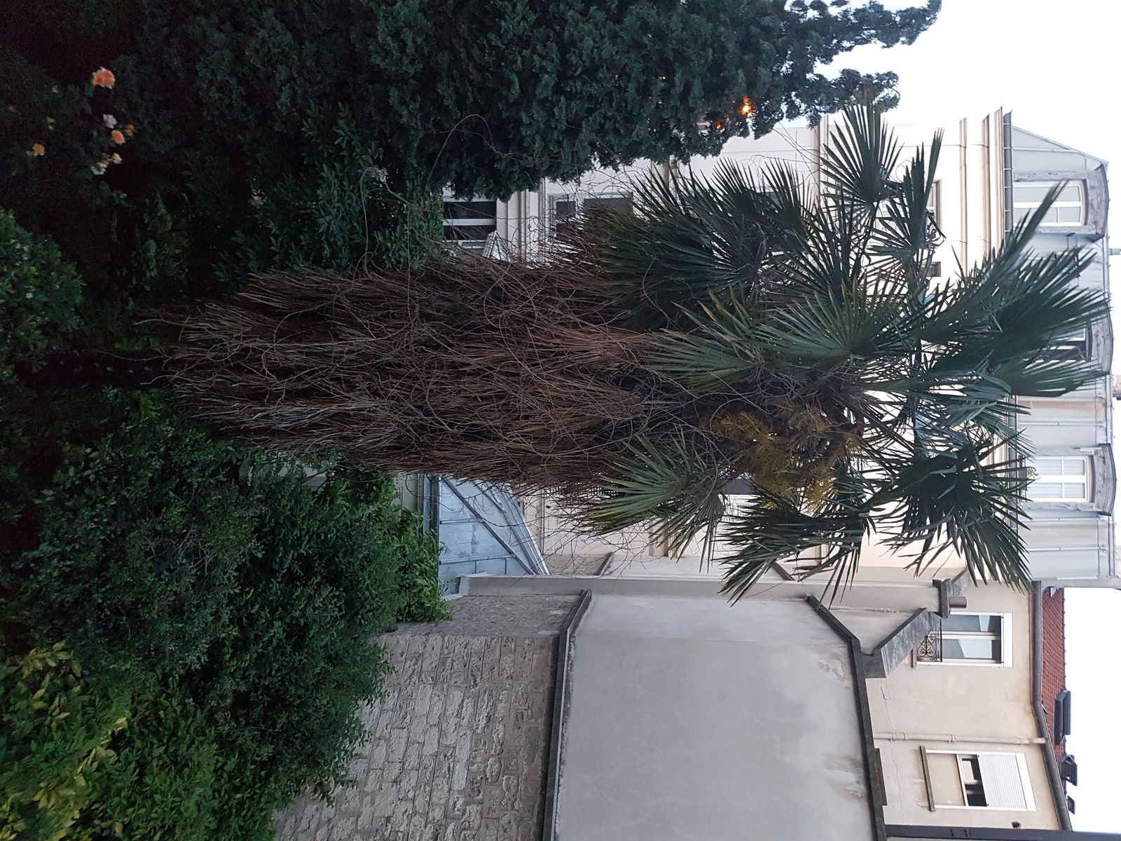 Colocatie Saint-Ouen 138266