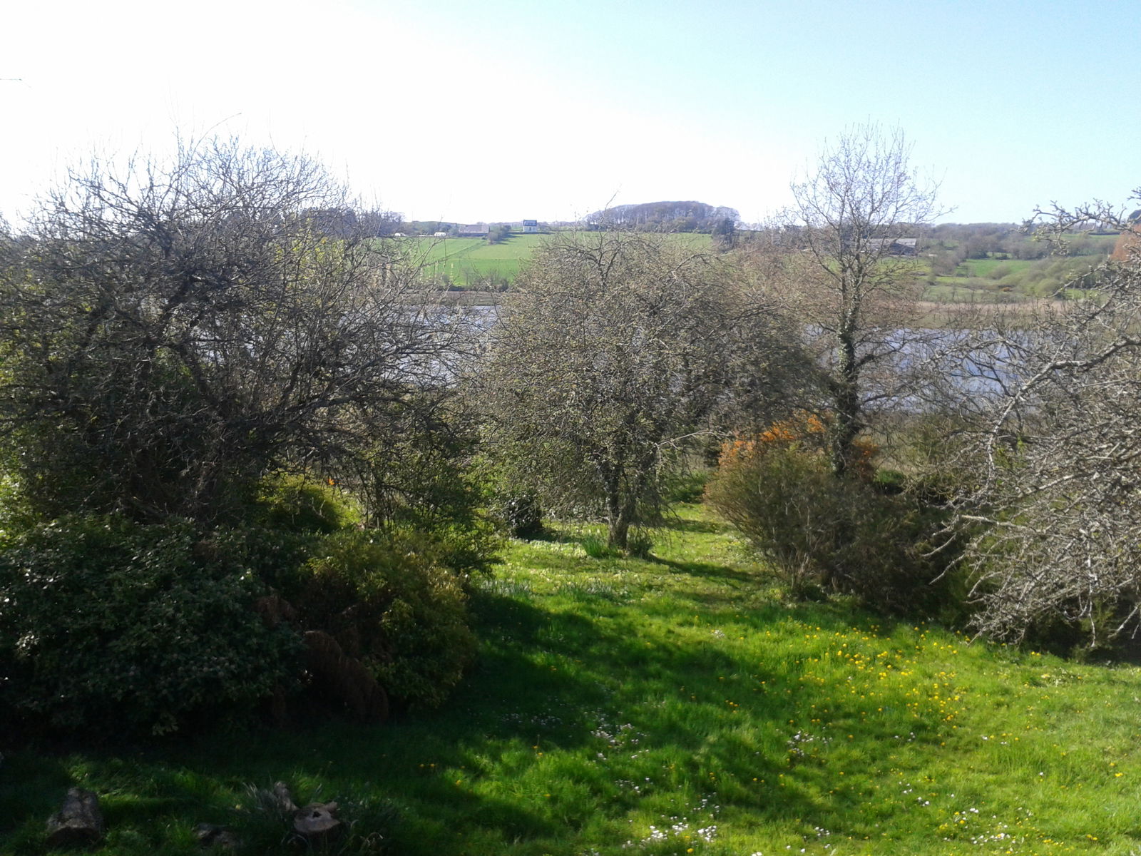 Colocatie Daoulas 163477