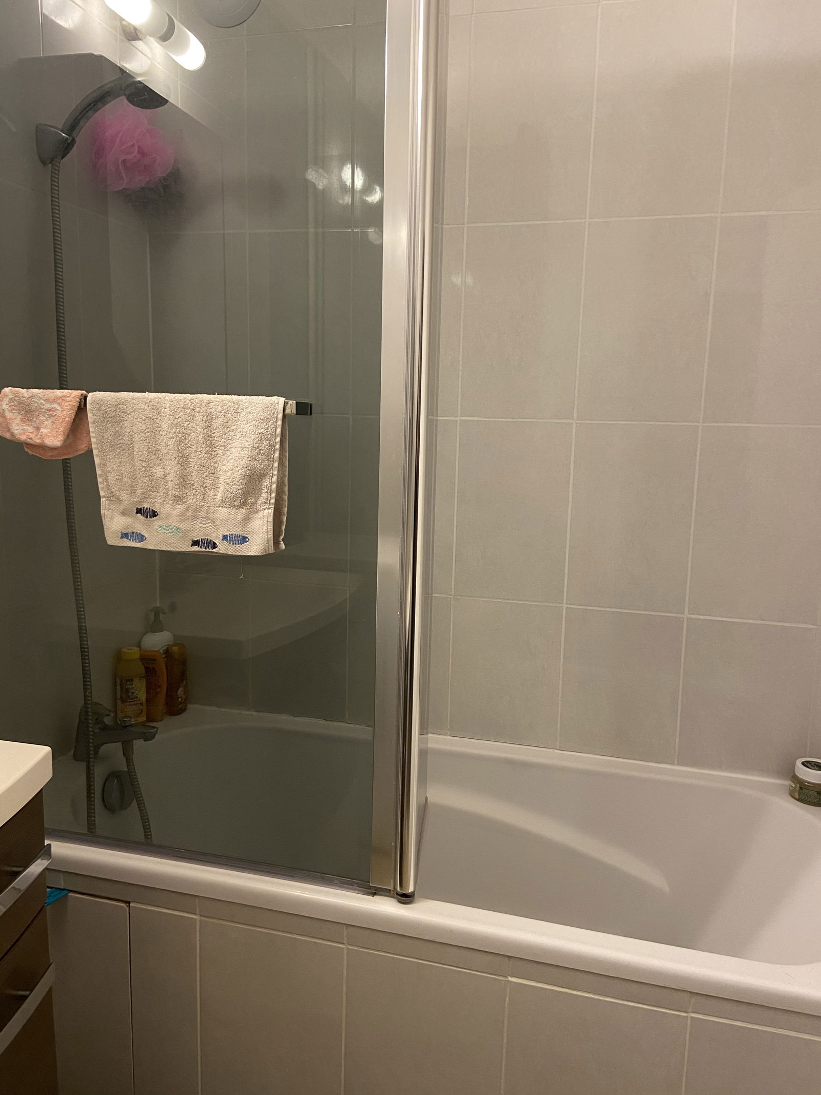 Colocatie Montmagny 253533