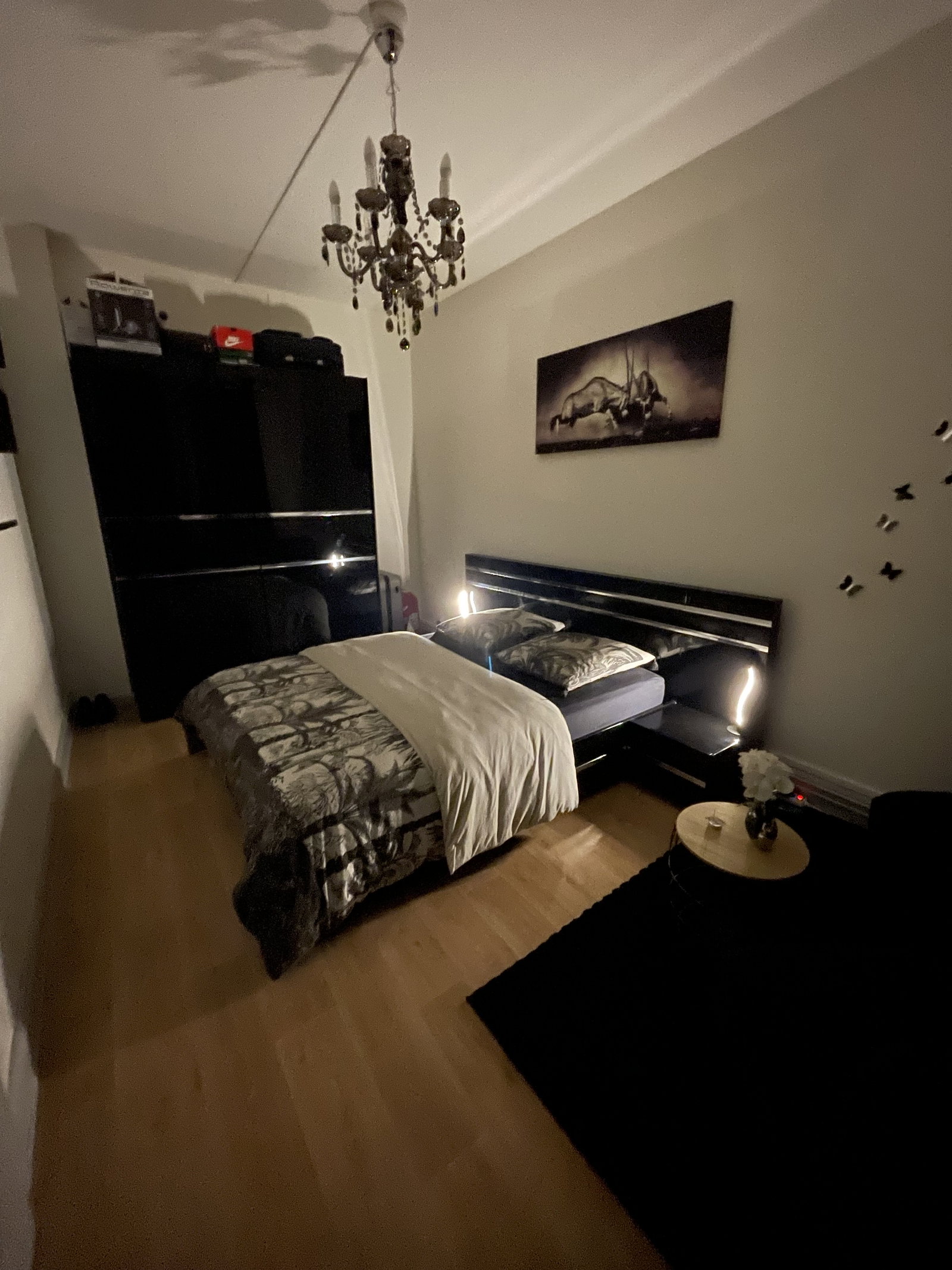 Colocatie Strasbourg 246725