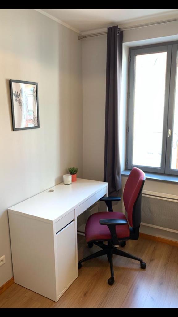 Colocatie Lille 499539