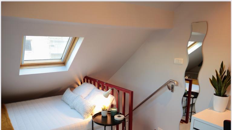 Colocatie Lille 499539