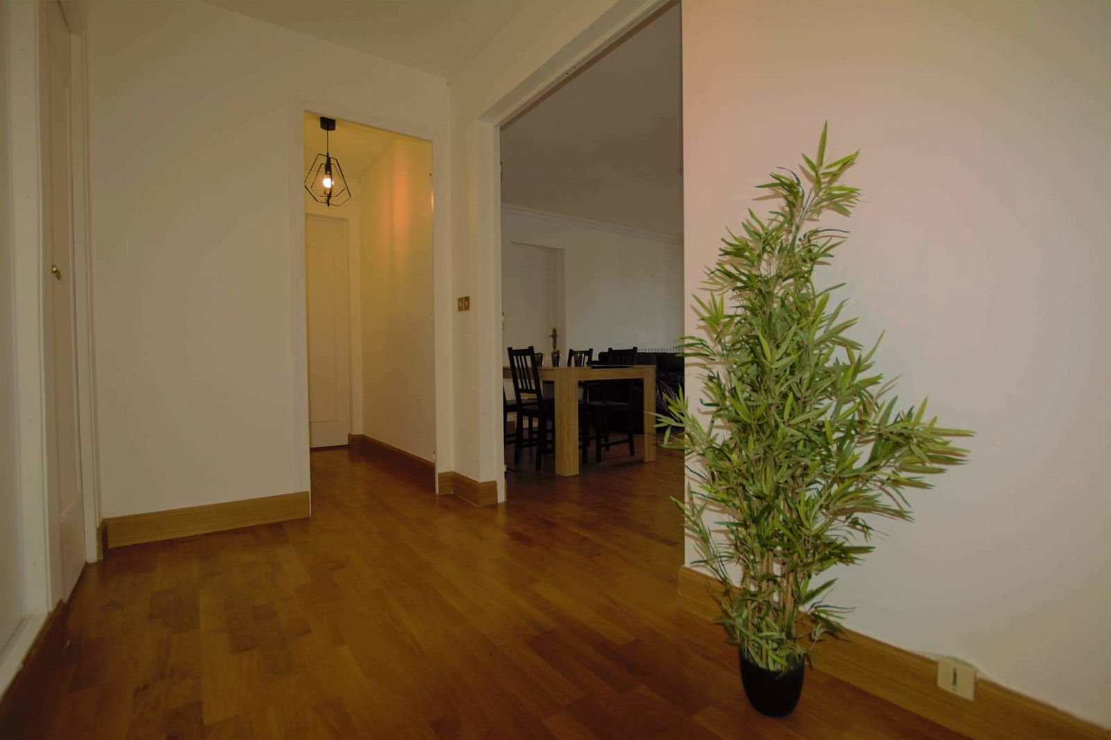 Colocatie Orléans 243141