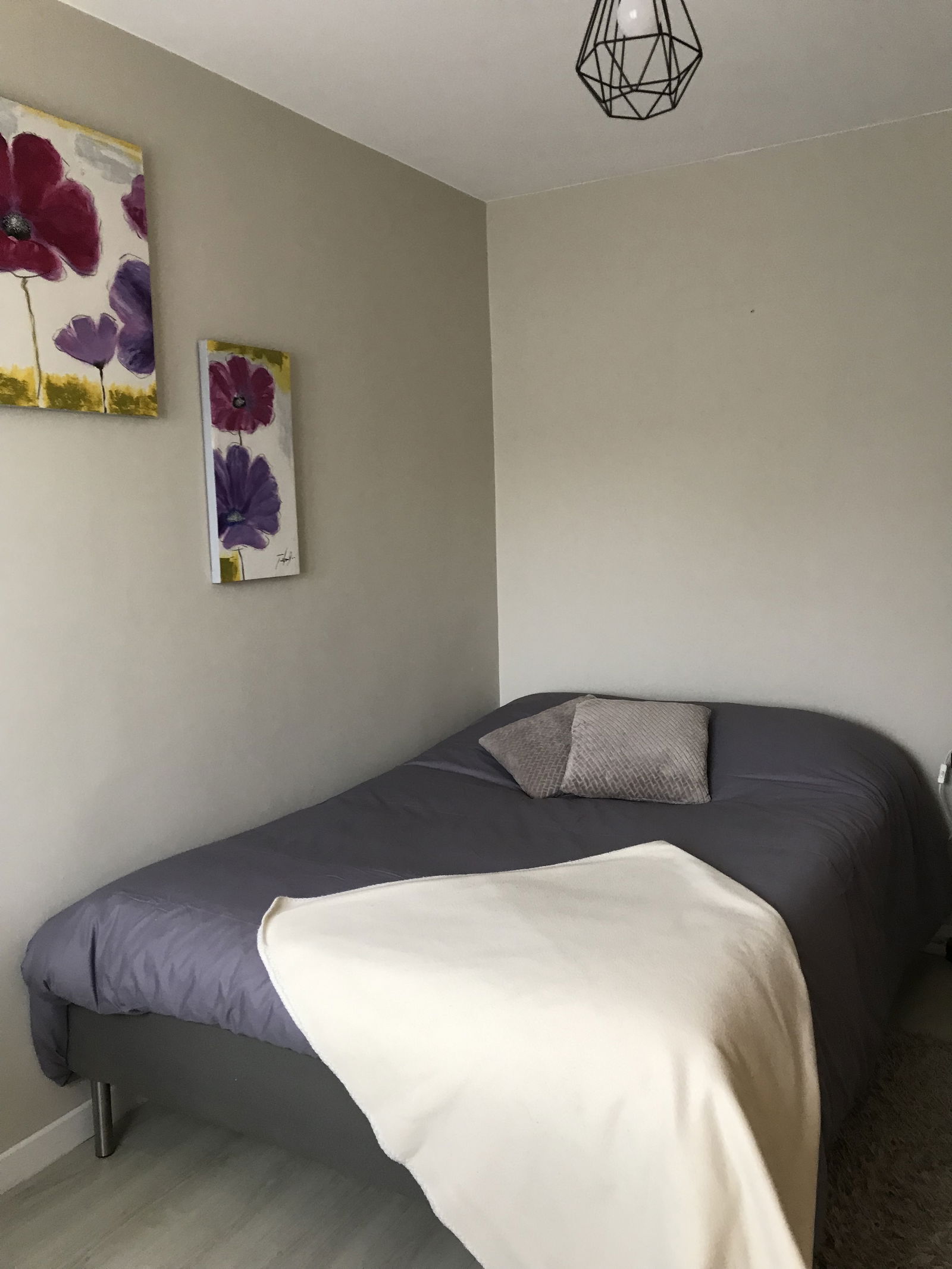 Colocatie Avignon 656402