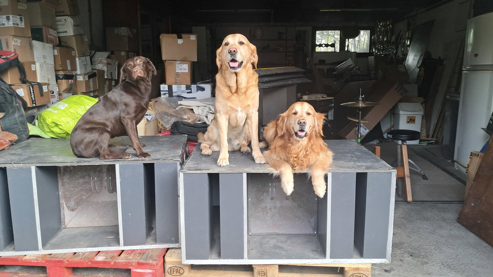 Colocatie Ormesson-sur-Marne 245361