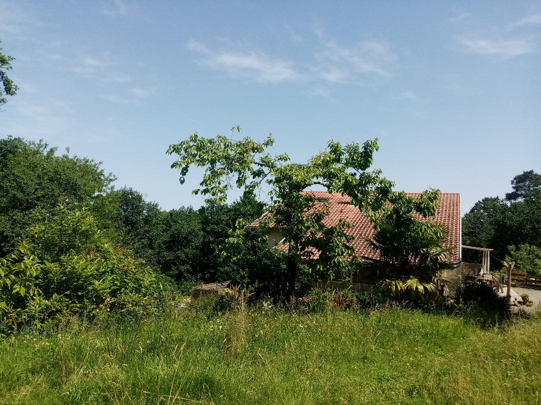 Colocatie Orist 661314