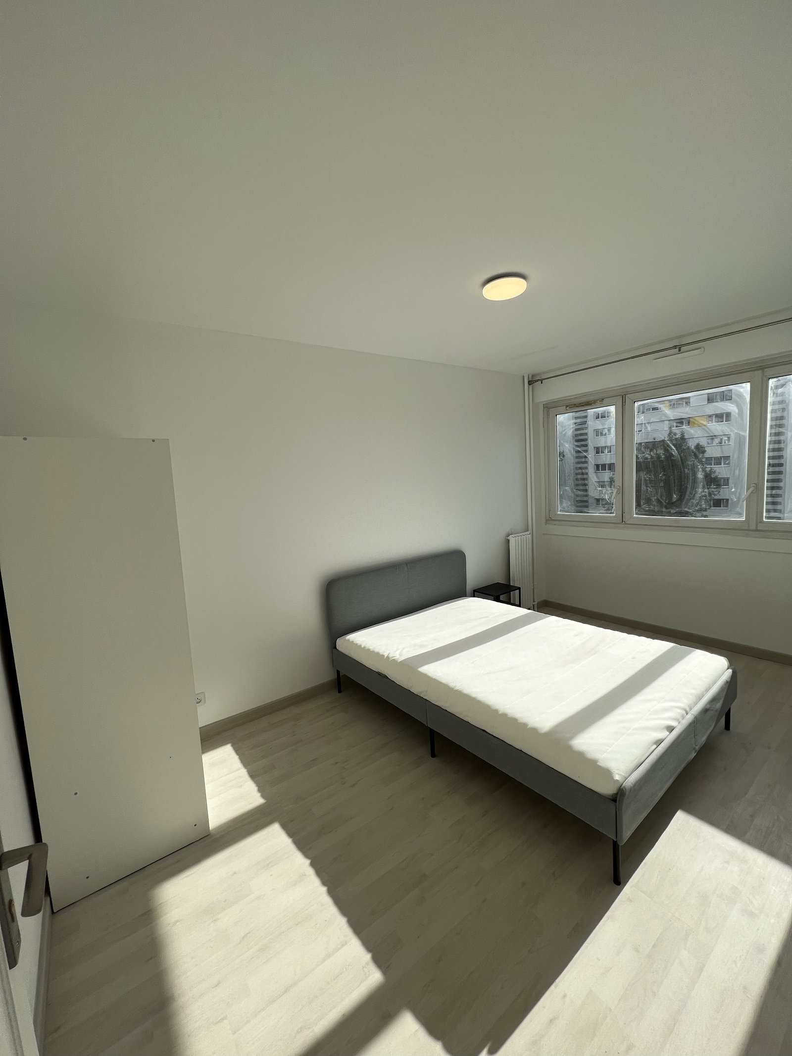 Kolokasie Rosny-sous-Bois 479549