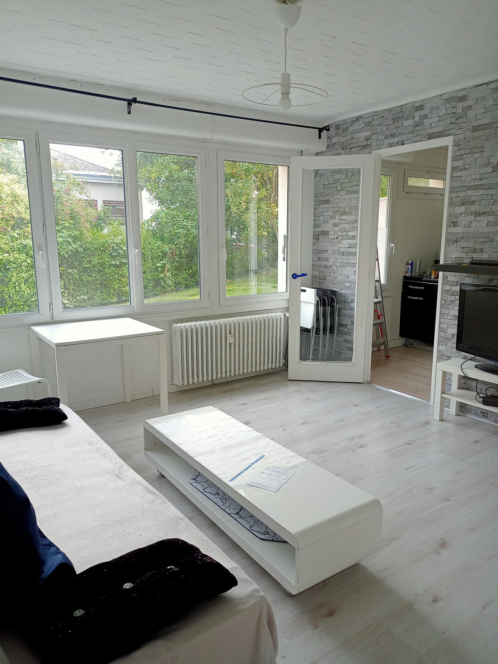 Kolokasie Strasbourg 258118