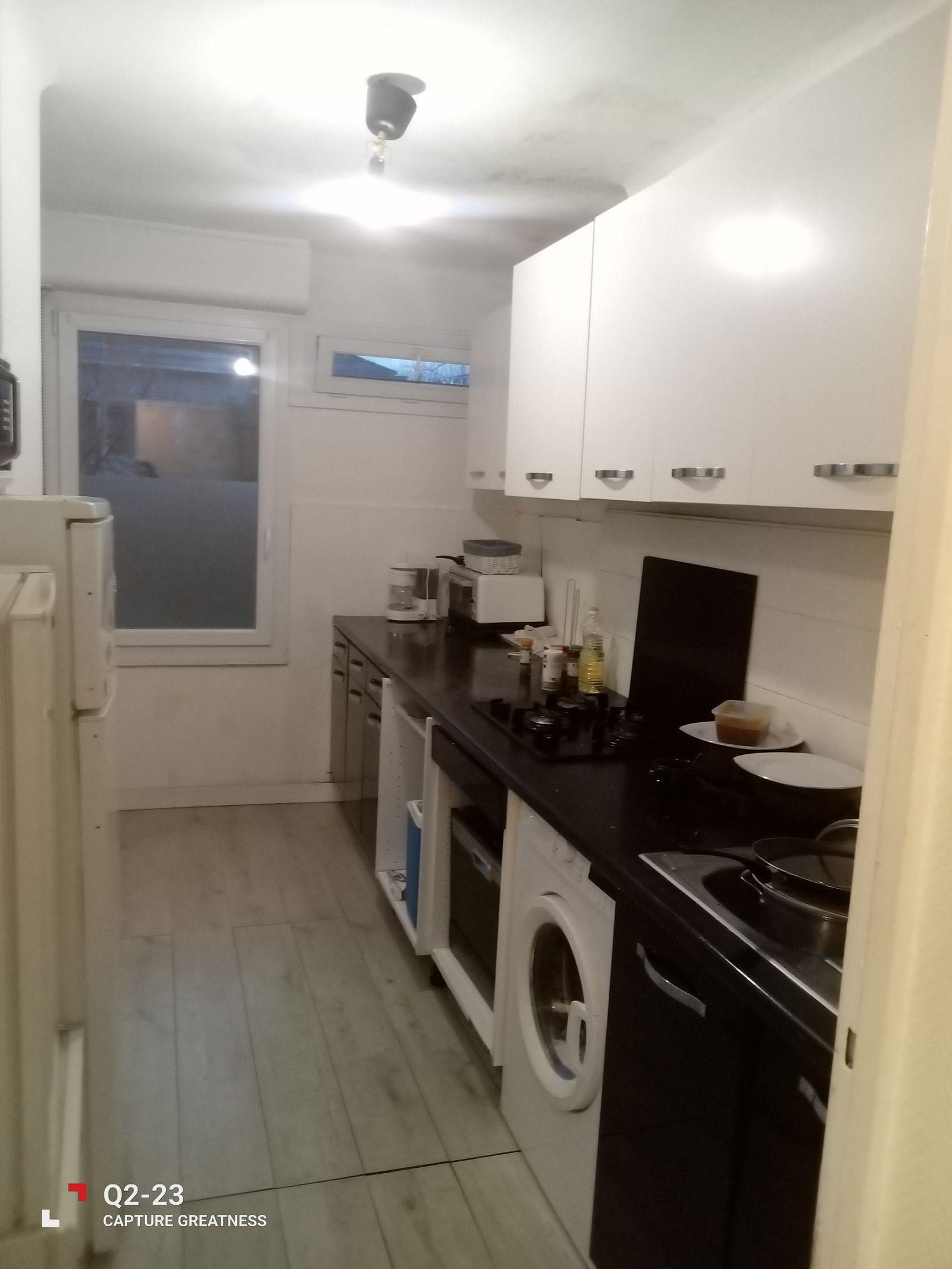 Kolokasie Strasbourg 258118