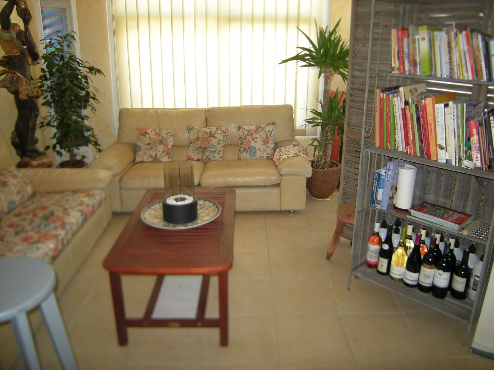 Kolokasie La Tremblade 524766