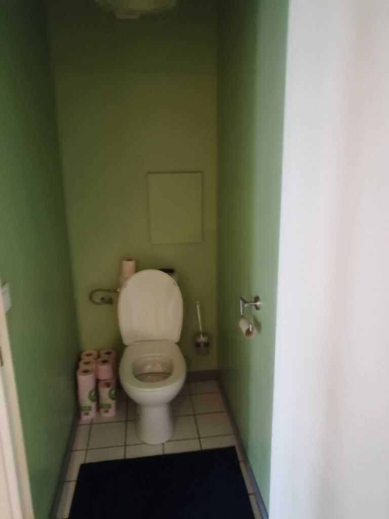 Kolokasie Chilly-Mazarin 249179