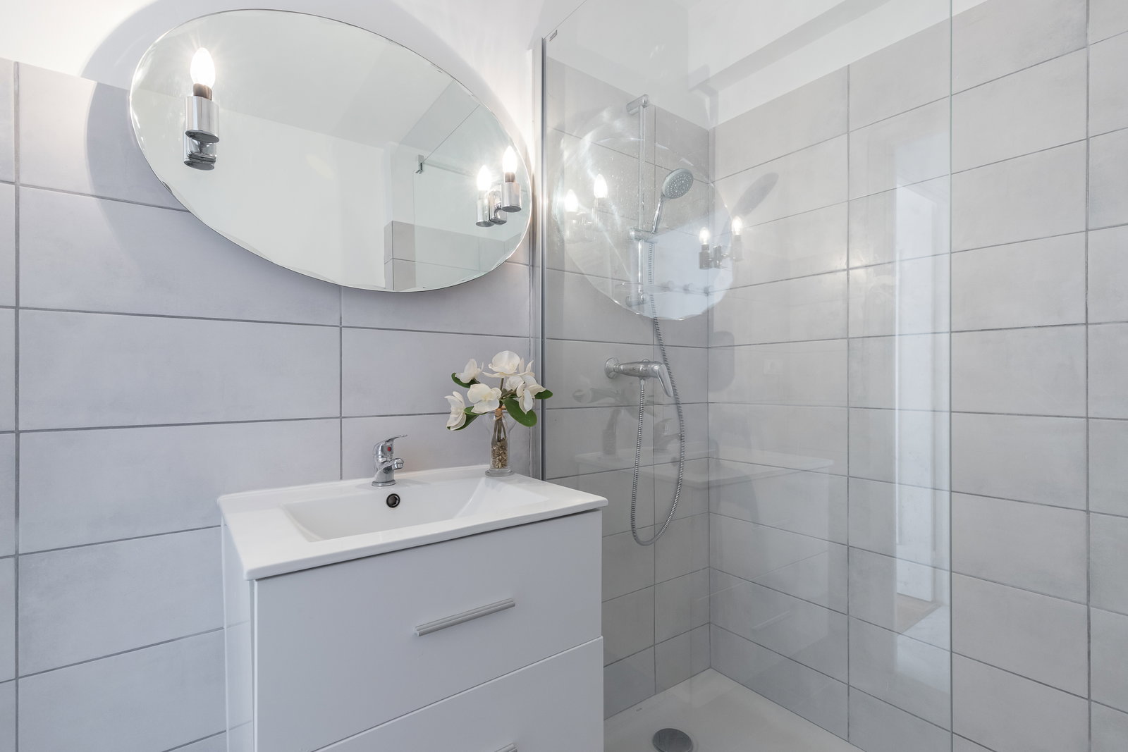 Kolokasie Nice 635776