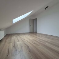 Kolokasie Charleroi 656880