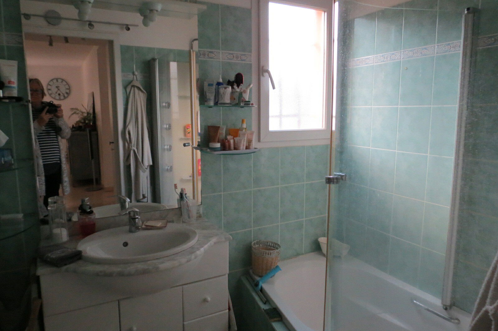 Kolokasie Pégomas 151746