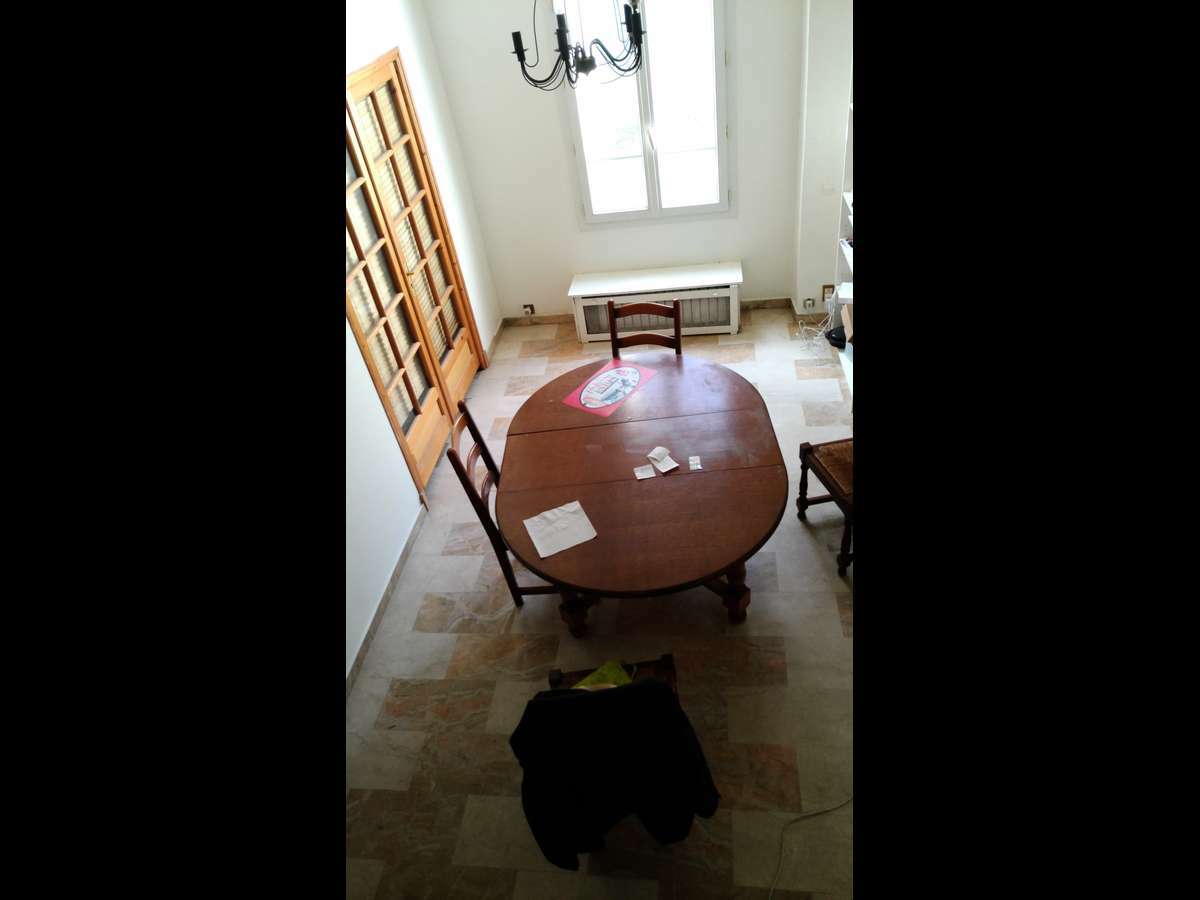 Kolokasie Asnières-sur-Seine 191862